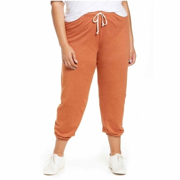 Treasure & Bond Pants - Treasure & Bond Boyfriend Sweatpants Rust Umber Size 3X